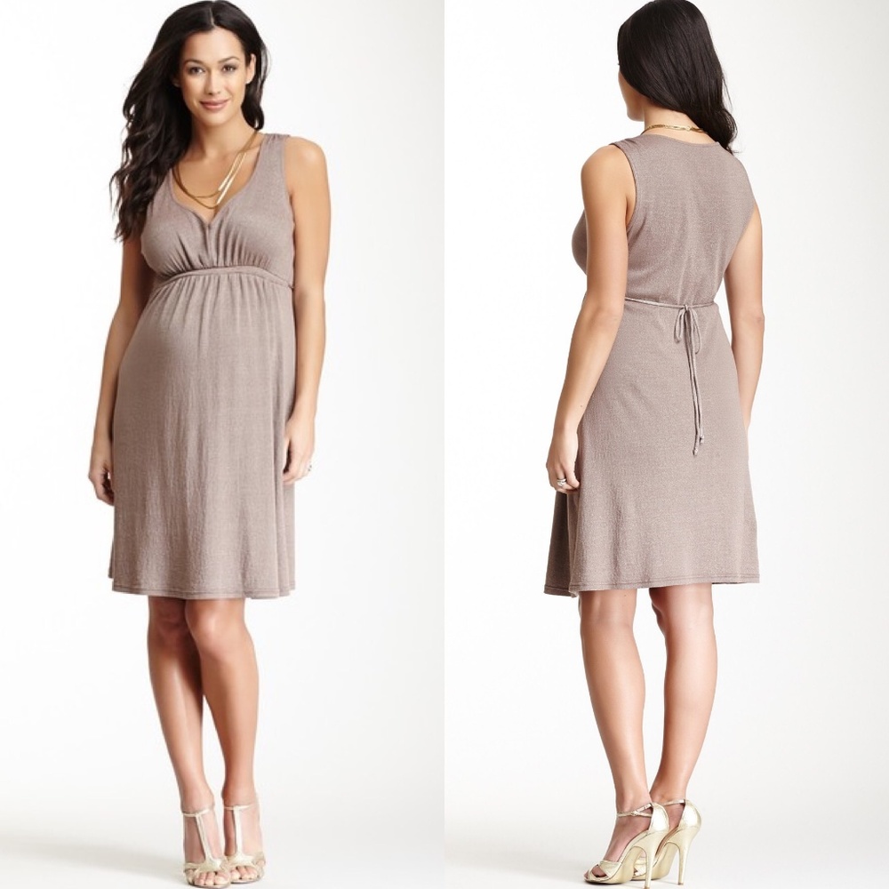 Michael Stars Maternity Shine New Dress V-Neck Sle